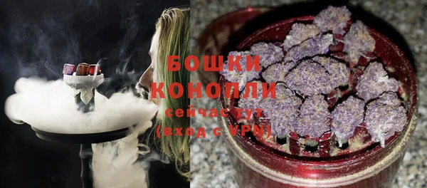 мяу мяу мука Абаза
